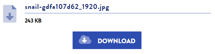 Downloading with and without ddownload premium account